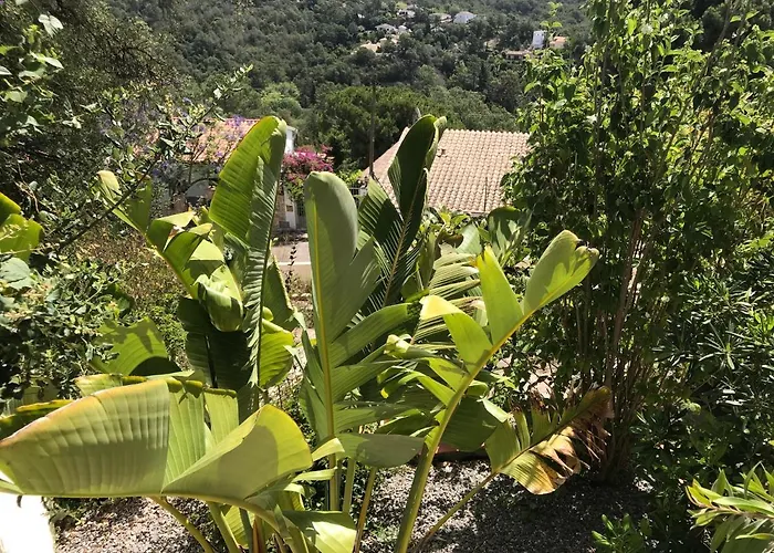 Zeezicht * Lloret de Mar