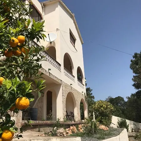 Zeezicht Lloret de Mar
