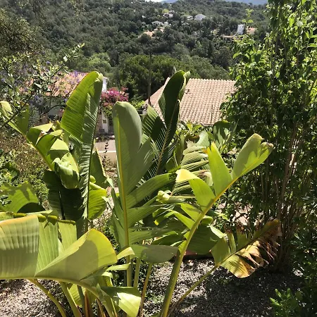Zeezicht * Lloret de Mar
